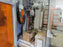Used 2019 Holz-Her Evolution 7405